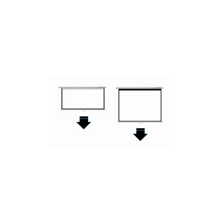 manual pull down screen  (2)