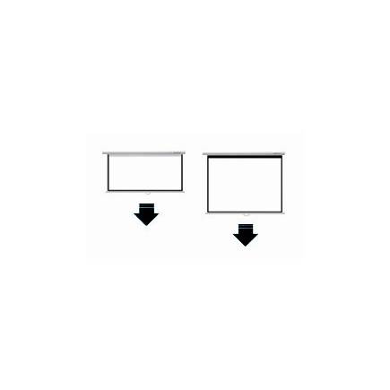 manual pull down screen  (2)