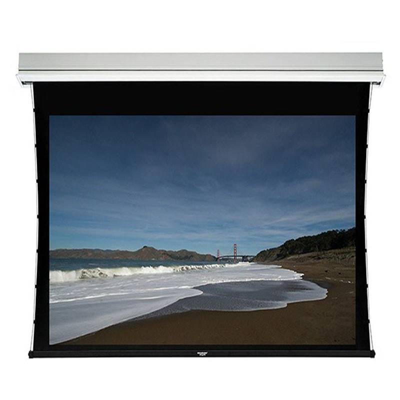 motorized screen  (2)
