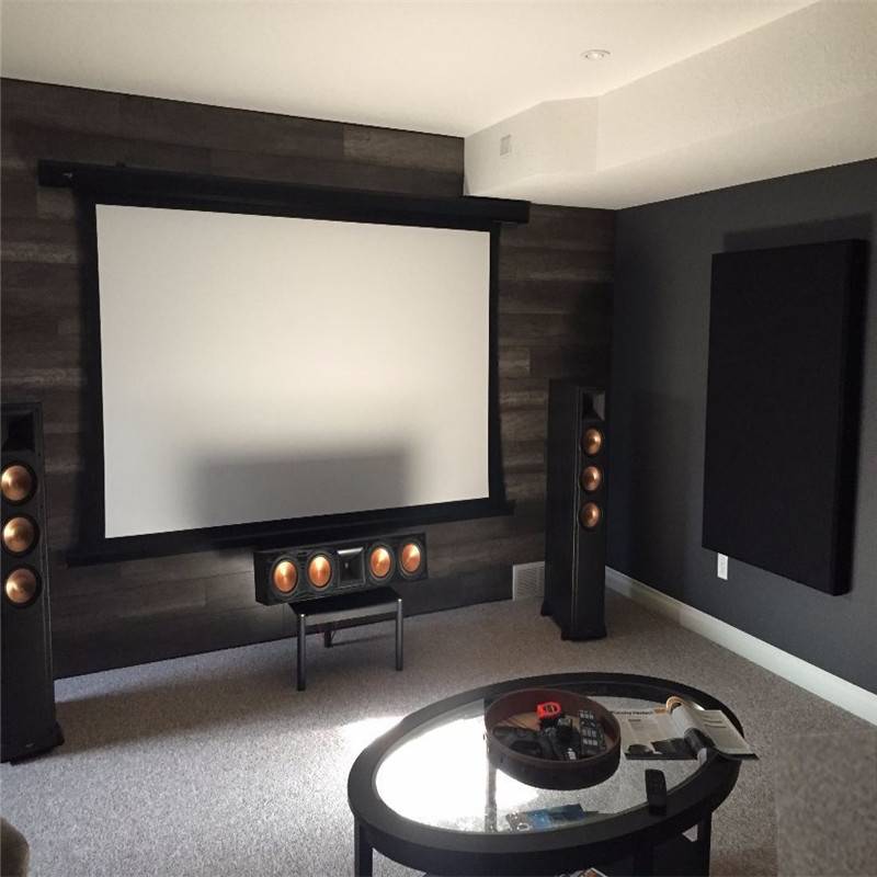 motorized screen  (1)