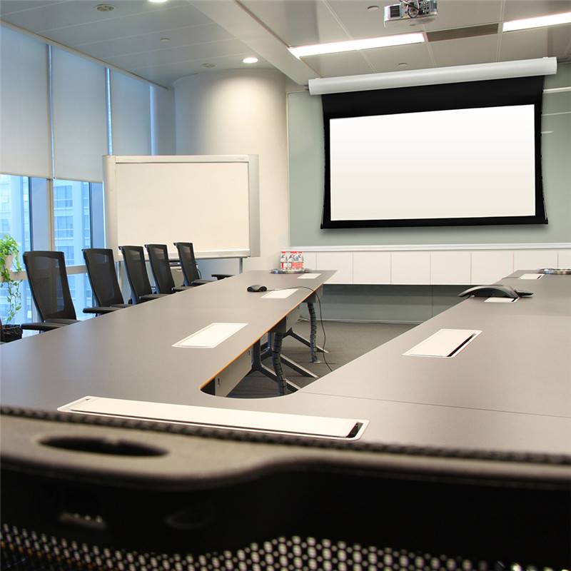 motorized screen (3)